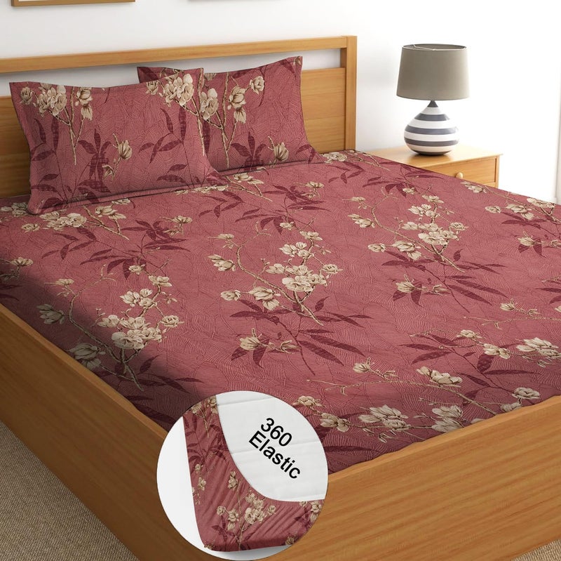 STARNSTYLE 100% Cotton Super Soft 240 Thread Count Elastic Fitted King Size Bedsheet with 2 Pillow Covers - Image 1